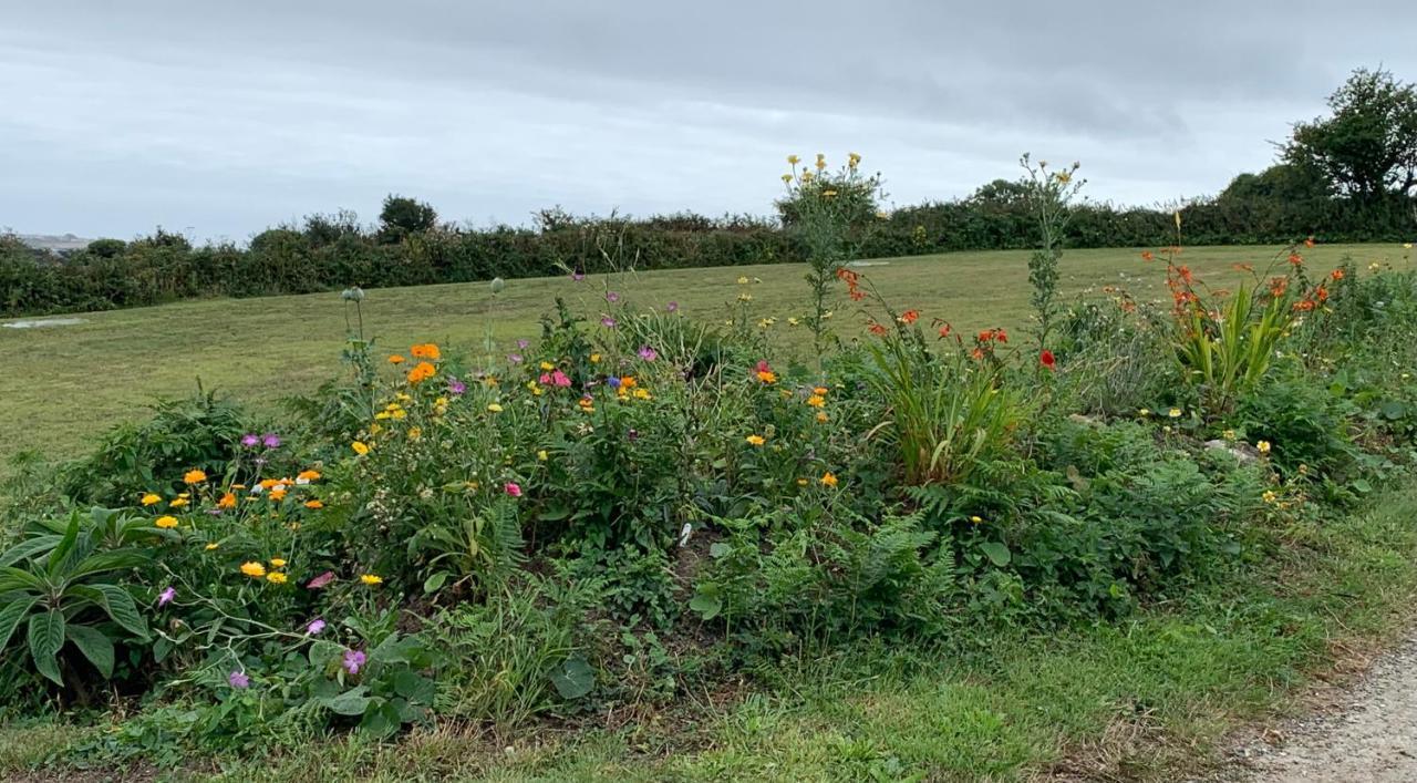 Penzance, Private Annexe With Beautiful Views. Appartement Ludgvan Buitenkant foto